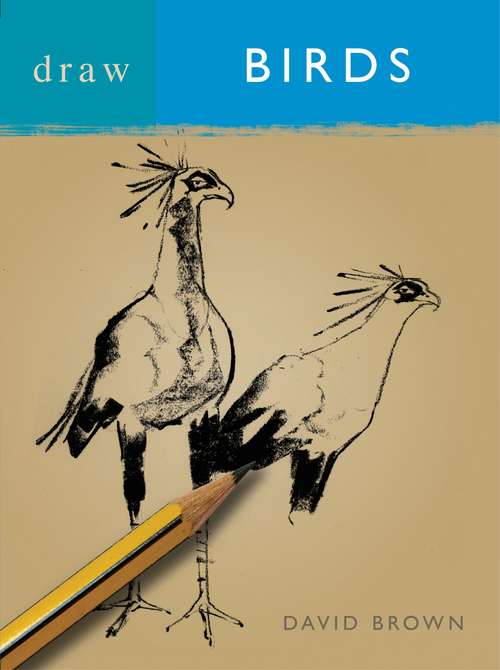 Book cover of Draw Birds (Draw Books)