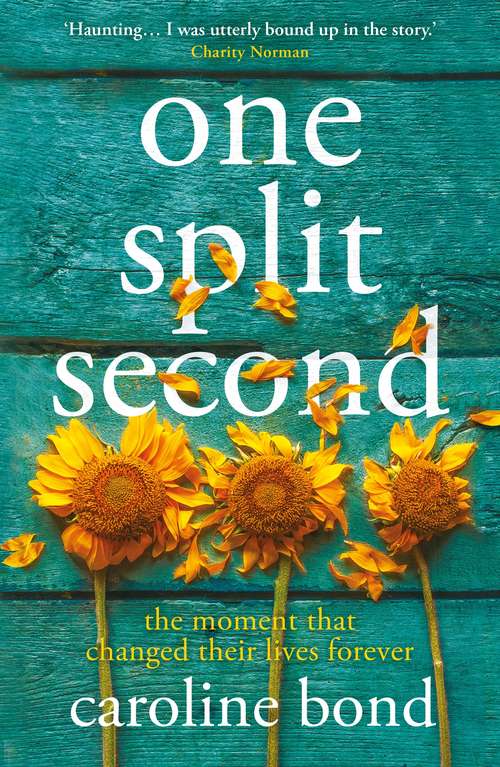Book cover of One Split Second: A thought-provoking novel about the limits of love and our astonishing capacity to heal (Main)