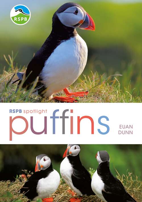 Book cover of RSPB Spotlight: Puffins (Rspb Ser.)