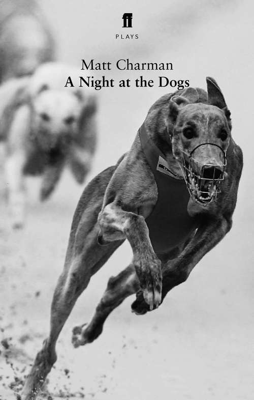 Book cover of A Night at the Dogs (Main)