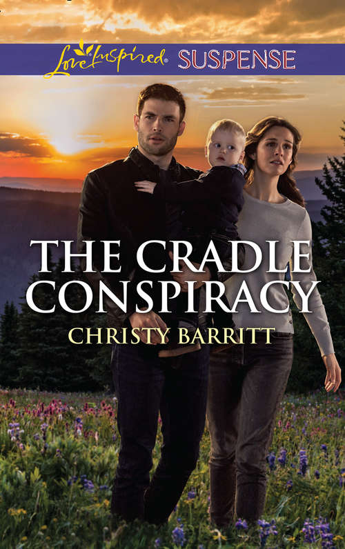 Book cover of The Cradle Conspiracy (ePub edition) (The Baby Protectors)