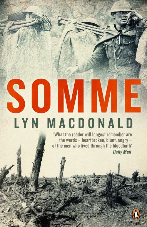 Book cover of Somme