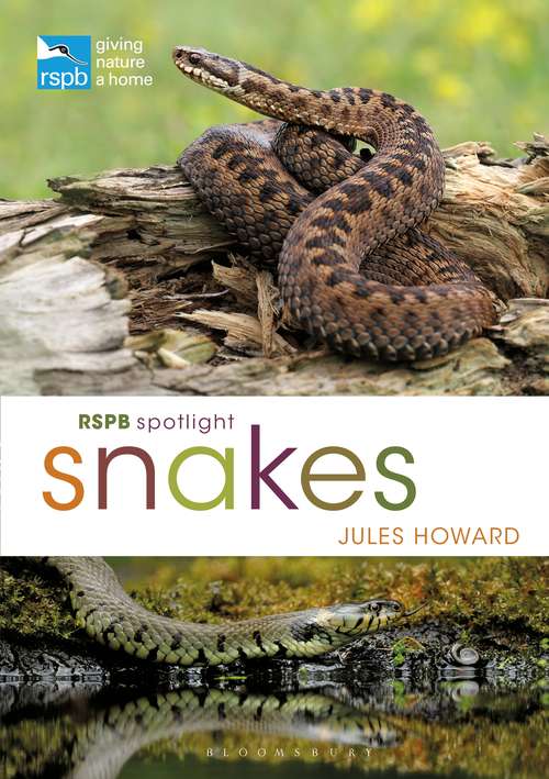 Book cover of RSPB Spotlight Snakes (RSPB)