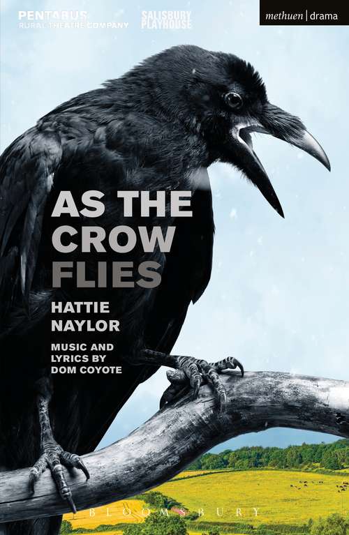 Book cover of As the Crow Flies (Modern Plays)