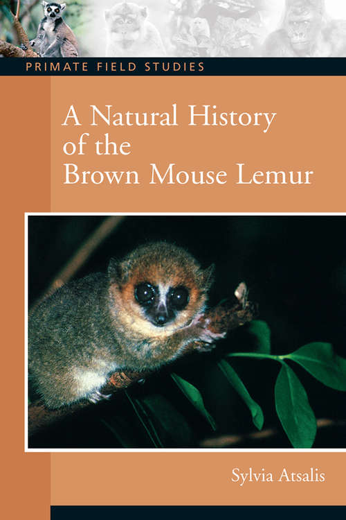 Book cover of A Natural History of the Brown Mouse Lemur