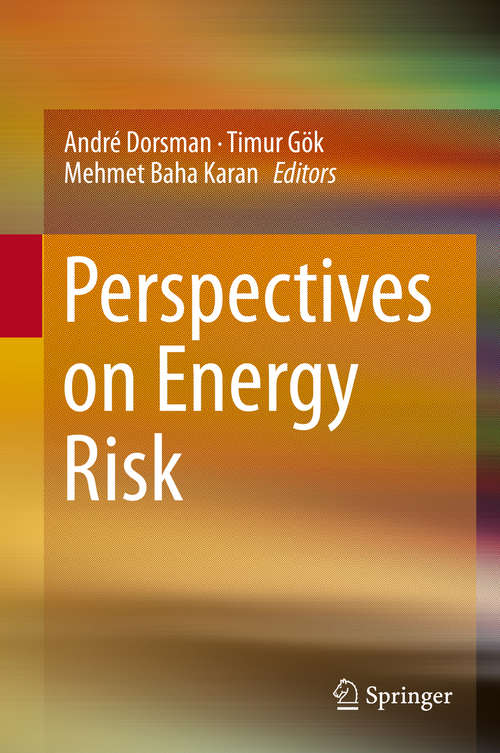 Book cover of Perspectives on Energy Risk (2014)