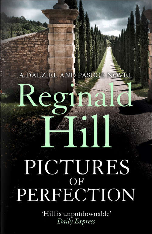 Book cover of Pictures of Perfection (ePub edition) (Dalziel & Pascoe #13)