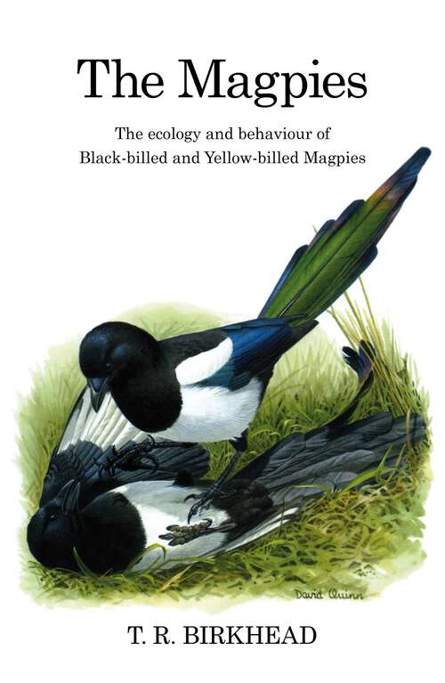 Book cover of The Magpies: The Ecology And Behaviour Of Black-billed And Yellow-billed Magpies (Poyser Monographs #93)