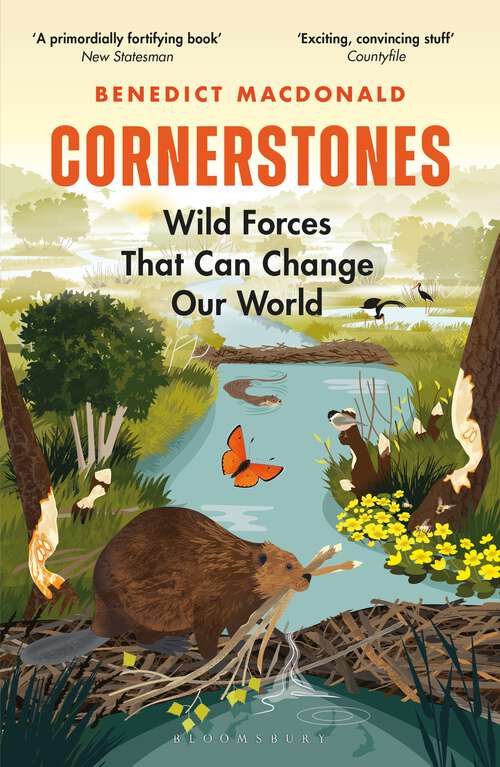 Book cover of Cornerstones: Wild forces that can change our world