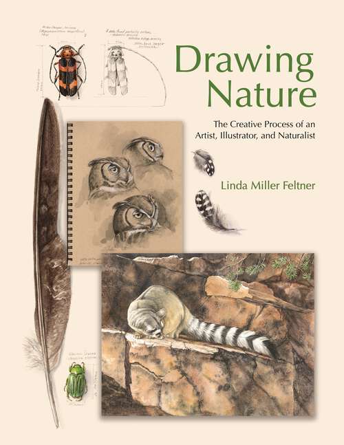 Book cover of Drawing Nature: The Creative Process of an Artist, Illustrator, and Naturalist