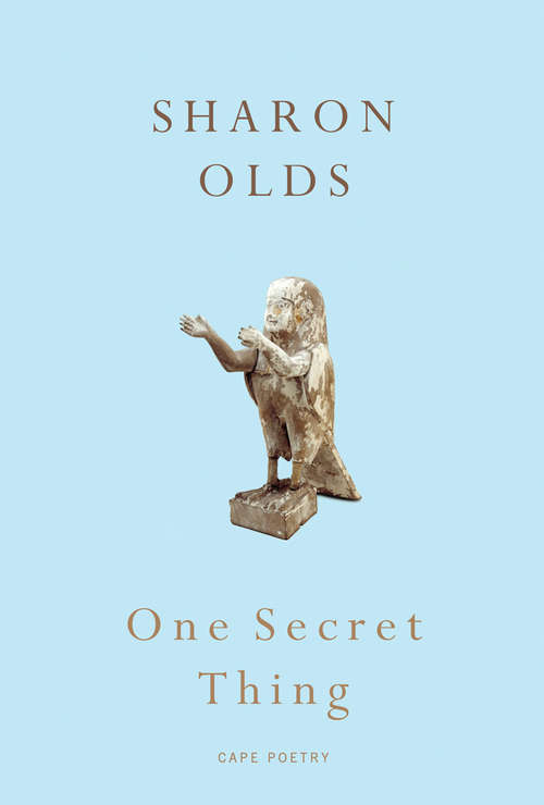 Book cover of One Secret Thing