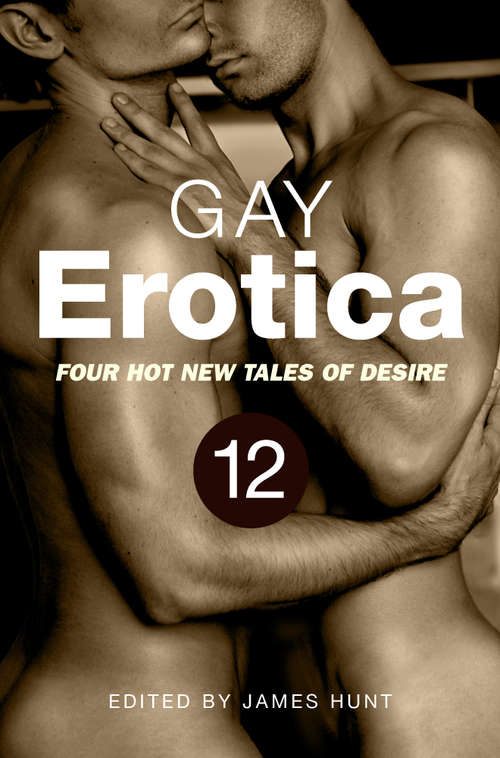 Book cover of Gay Erotica, Volume 12: Four great new stories (Gay Erotica #12)