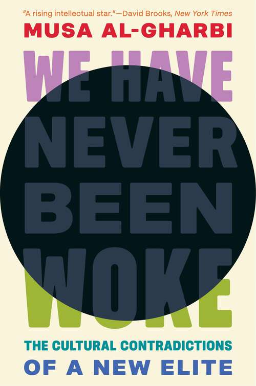 Book cover of We Have Never Been Woke: The Cultural Contradictions of a New Elite