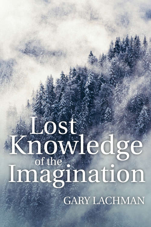 Book cover of Lost Knowledge of the Imagination