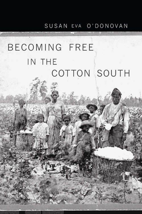 Book cover of Becoming Free in the Cotton South