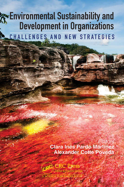 Book cover of Environmental Sustainability and Development in Organizations: Challenges and New Strategies