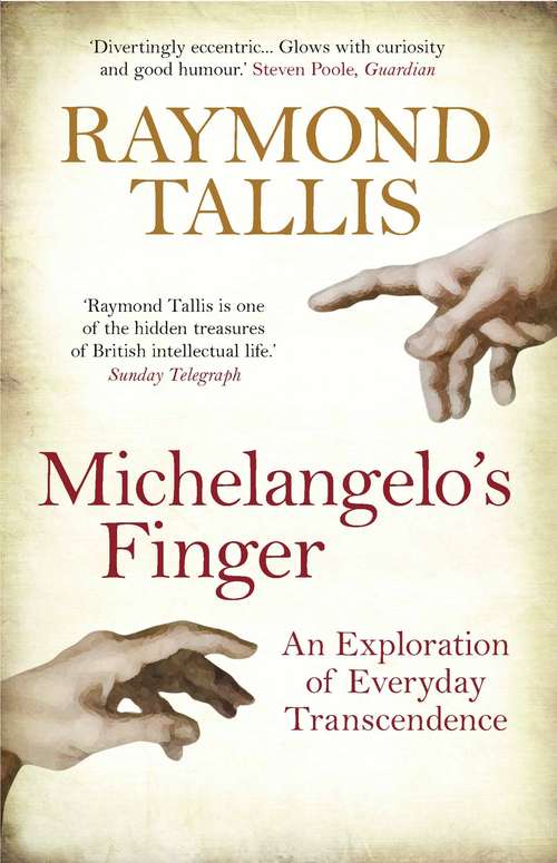 Book cover of Michelangelo's Finger: An Exploration of Everyday Transcendence (Main)