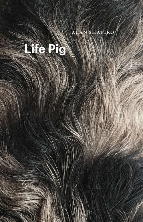 Book cover of Life Pig (Phoenix Poets)