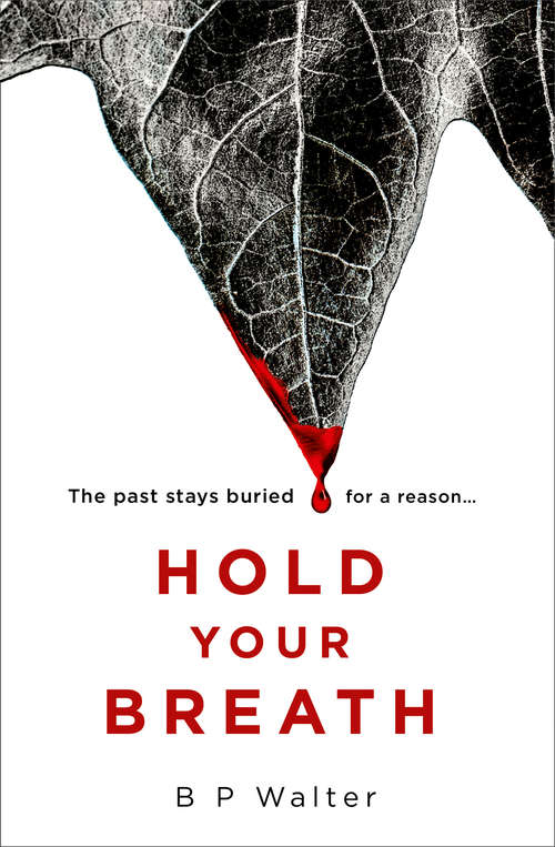 Book cover of Hold Your Breath (ePub edition)