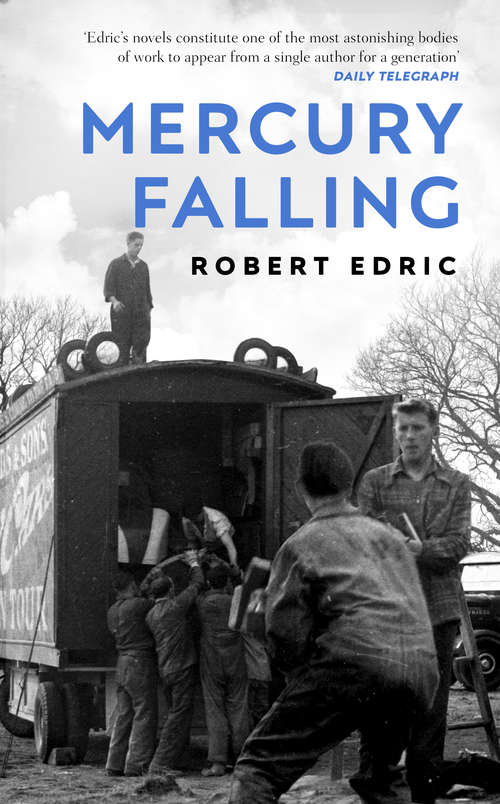 Book cover of Mercury Falling