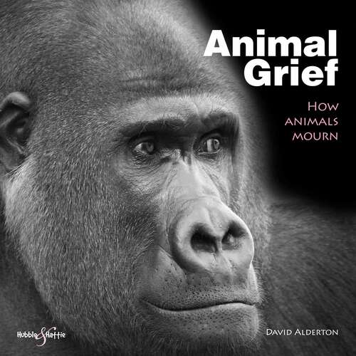 Book cover of Animal Grief: How animals mourn