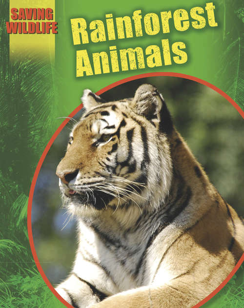 Book cover of Rainforest Animals (Saving Wildlife)