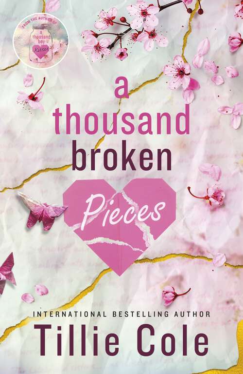 Book cover of A Thousand Broken Pieces