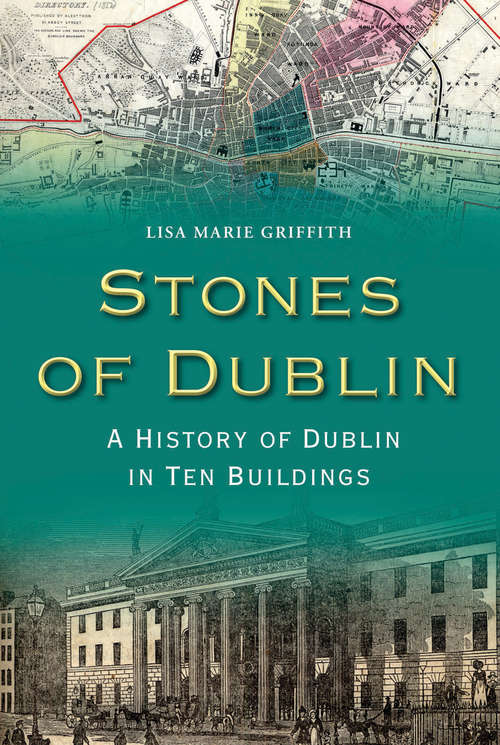 Book cover of Stones of Dublin: A History Of Dublin In Ten Buildings