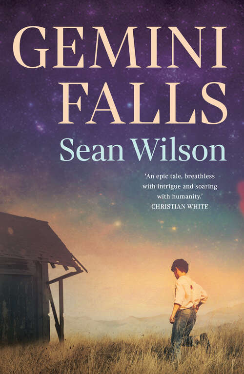 Book cover of Gemini Falls
