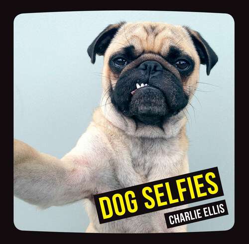 Book cover of Dog Selfies