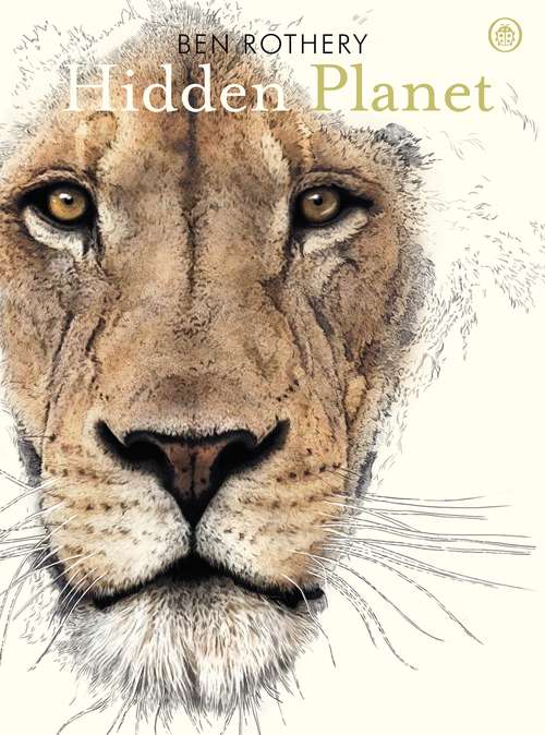 Book cover of Hidden Planet: An Illustrator's Love Letter to Planet Earth