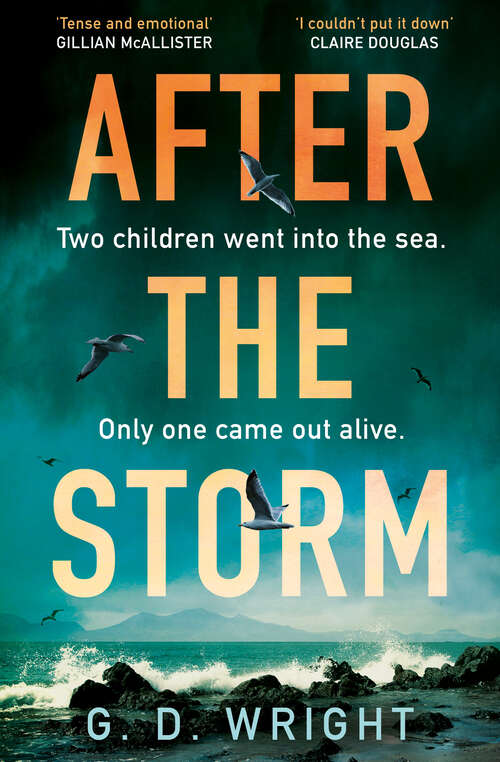 Book cover of After the Storm