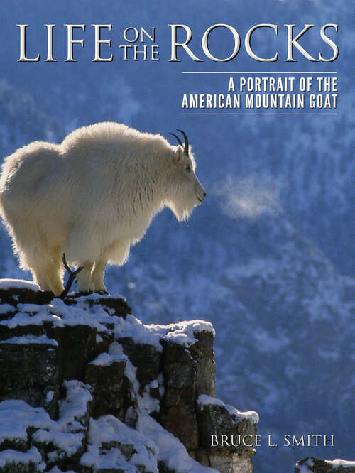 Book cover of Life on the Rocks: A Portrait of the American Mountain Goat