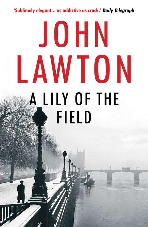 Book cover of A Lily of the Field (Main) (Inspector Troy series #7)