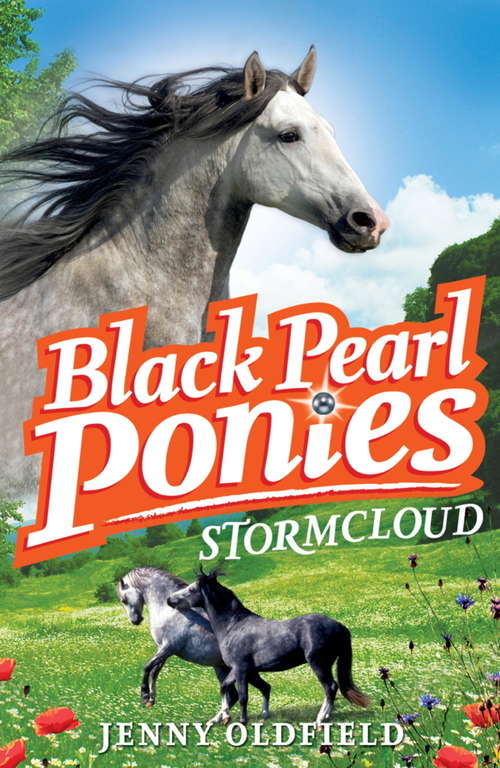 Book cover of Stormcloud: Book 4 (Black Pearl Ponies #4)