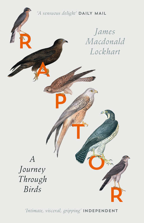 Book cover of Raptor: A Journey Through Birds (ePub edition)