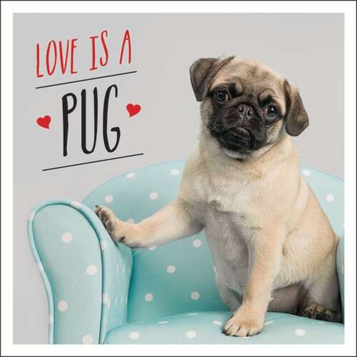 Book cover of Love is a Pug: A Pugtastic Celebration of The World's Cutest Dogs