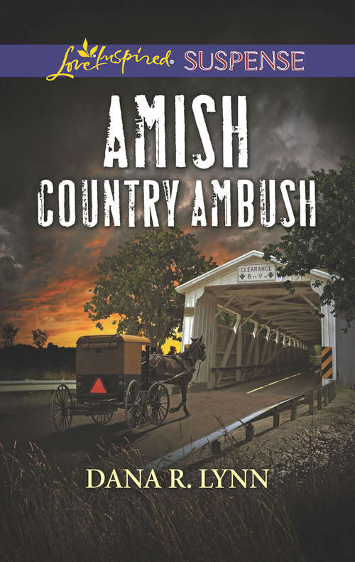 Book cover of Amish Country Ambush: Rescue Operation Amish Country Ambush Accidental Eyewitness (ePub edition) (Amish Country Justice #4)