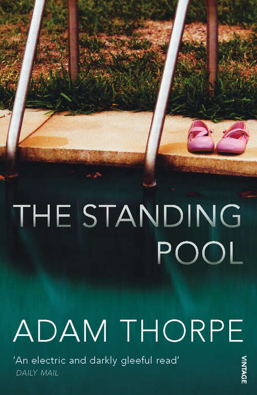 Book cover of The Standing Pool