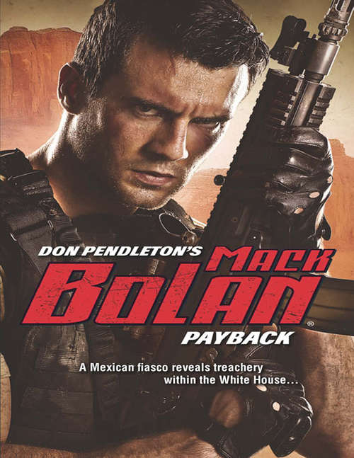 Book cover of Payback (ePub First edition)