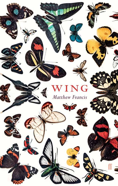 Book cover of Wing (Main)