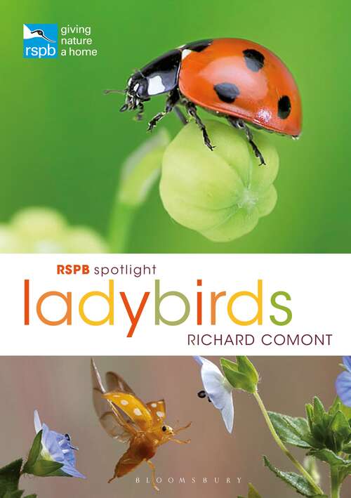 Book cover of RSPB Spotlight Ladybirds (RSPB)