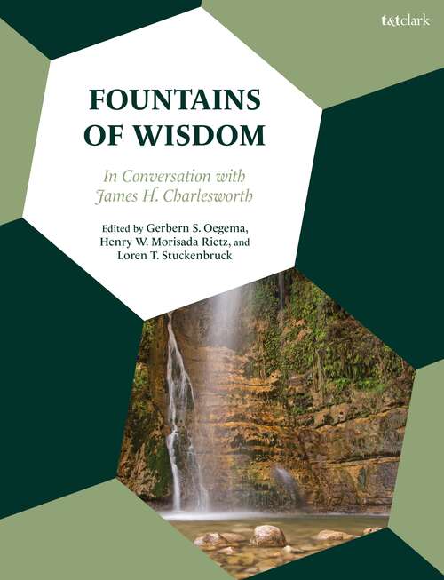 Book cover of Fountains of Wisdom: In Conversation with James H. Charlesworth