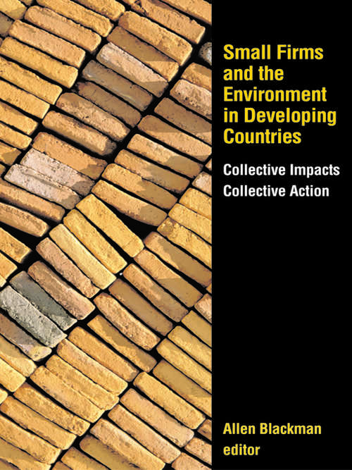 Book cover of Small Firms and the Environment in Developing Countries: "Collective Impacts, Collective Action"