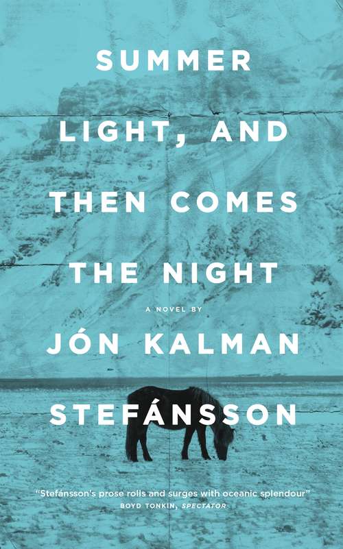 Book cover of Summer Light, and Then Comes the Night