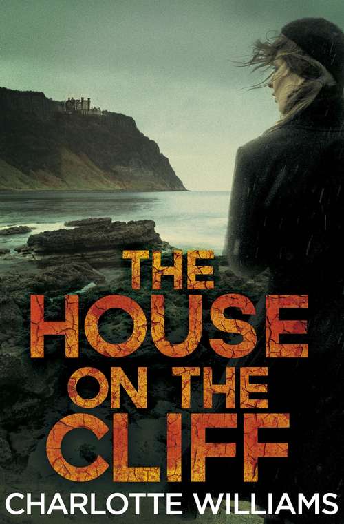 Book cover of The House on the Cliff