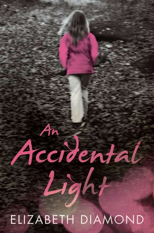 Book cover of An Accidental Light