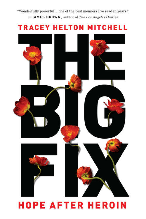 Book cover of The Big Fix: Hope After Heroin