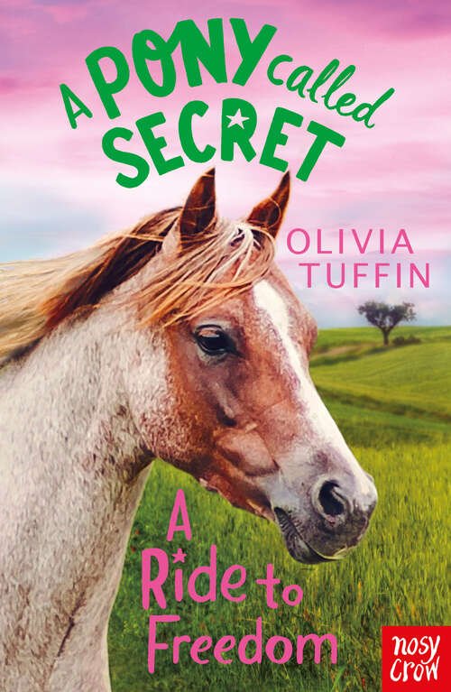 Book cover of A Ride to Freedom (A Pony Called Secret)