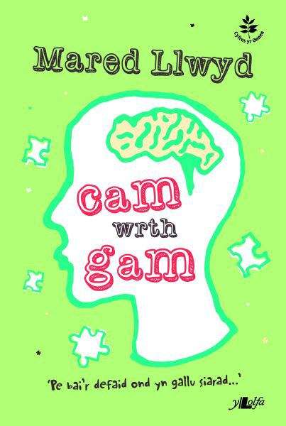 Book cover of Cam Wrth Gam (Cyfres yr Onnen)